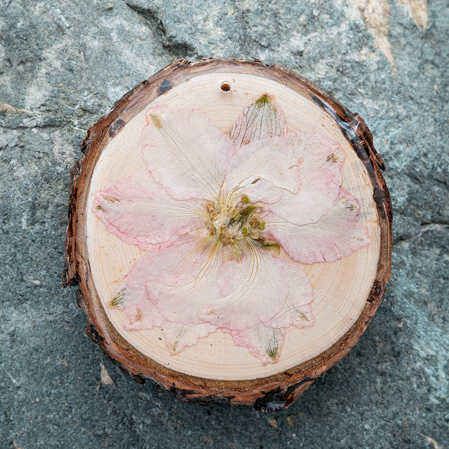 Zirbenblüte 5261 Kette Holzschmuck aus Naturholz / Anhänger