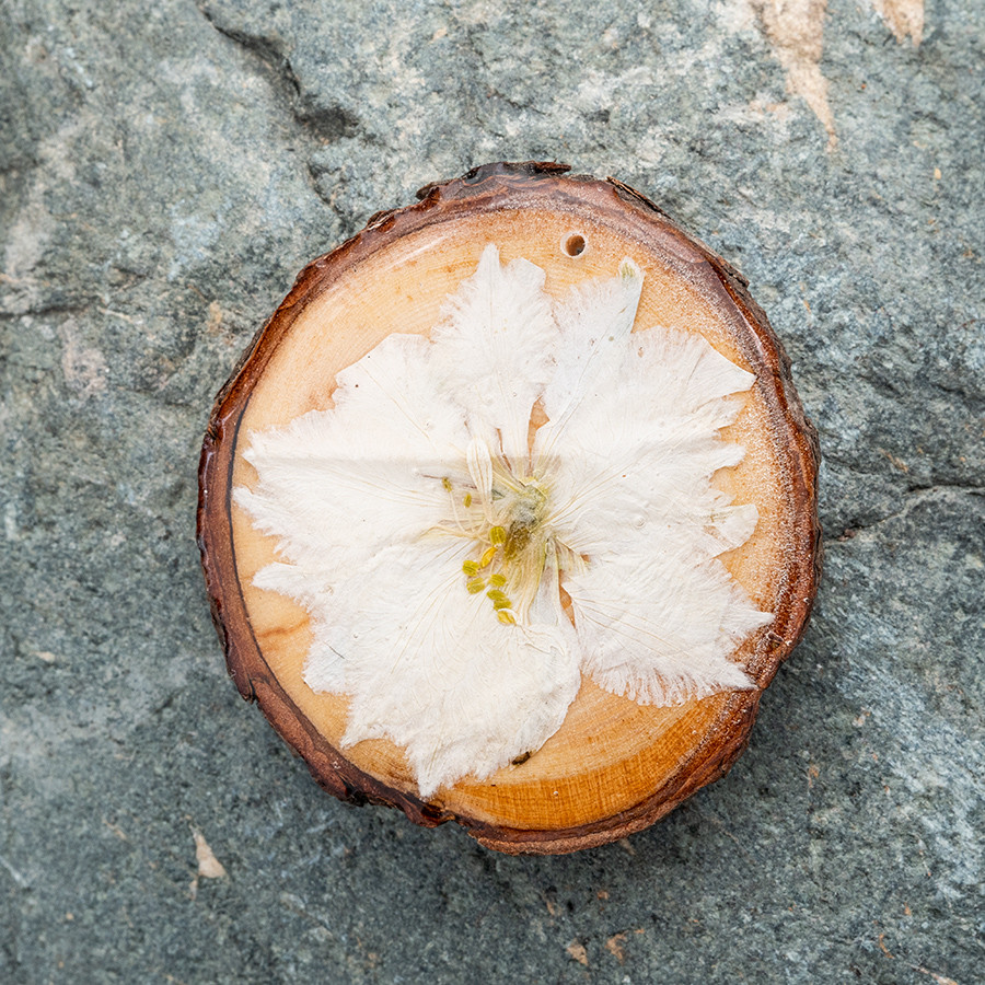 Zirbenblüte 5288 Kette Holzschmuck aus Naturholz / Anhänger